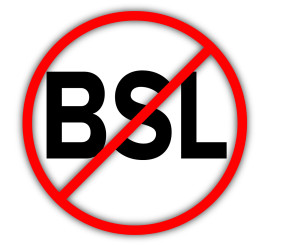 No BSL