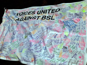 united voices against bsl